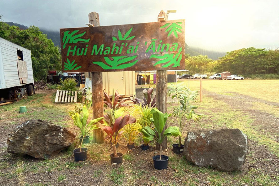 Hui Mahi'ai Aina Project Waimanalo